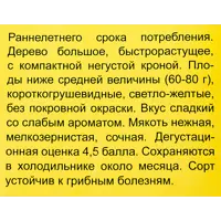 слайд 3
