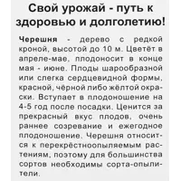 слайд 3
