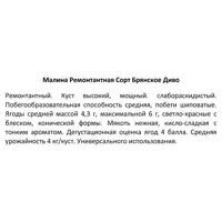 слайд 3