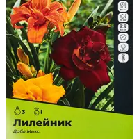 слайд 0