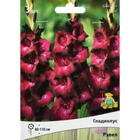 слайд 0
