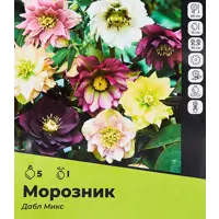 слайд 0