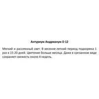 слайд 3