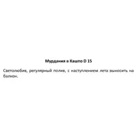 слайд 3