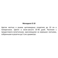 слайд 3
