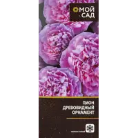 слайд 0