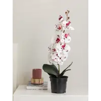 слайд 4