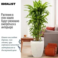 слайд 3