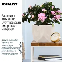 слайд 3