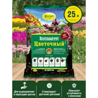 слайд 4