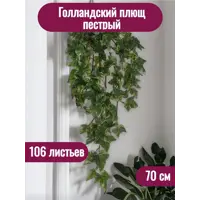 слайд 0
