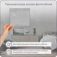 слайд 5