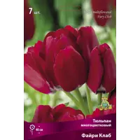 слайд 0