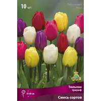 слайд 0