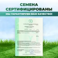 слайд 8