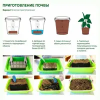 слайд 3