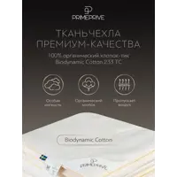 слайд 3