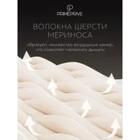 слайд 7