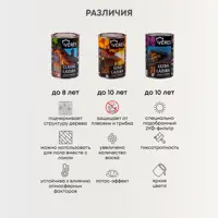слайд 5