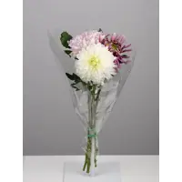 слайд 0