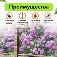слайд 3