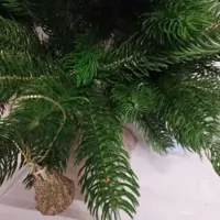 слайд 5