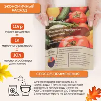 слайд 4
