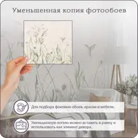 слайд 5