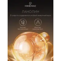 слайд 5