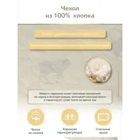слайд 5