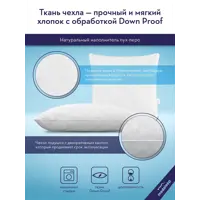 слайд 6