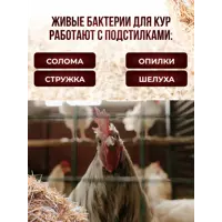 слайд 3