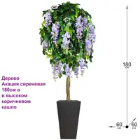 слайд 0