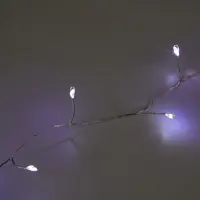 слайд 5
