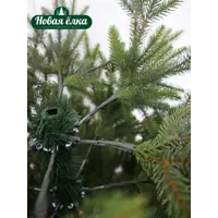 слайд 4