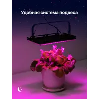 слайд 13