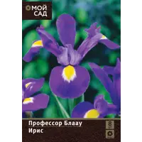 слайд 0
