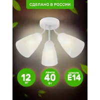 слайд 0