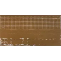 слайд 3
