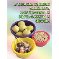 слайд 5