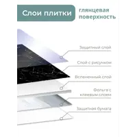 слайд 5