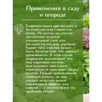 слайд 6