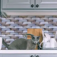 слайд 3
