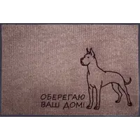 слайд 0