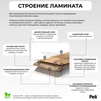 слайд 10