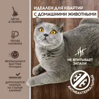 слайд 7