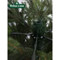 слайд 0