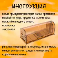 слайд 4