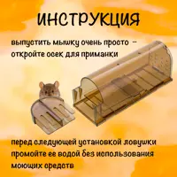 слайд 5