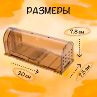 слайд 7